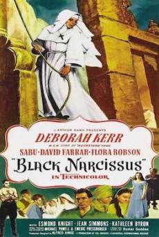 black narcissues poster